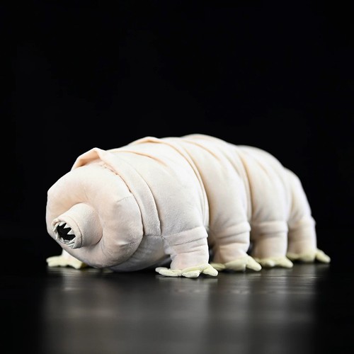 Peluche orso acquatico