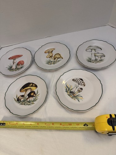 Set piatti funghi vintage